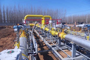 迪那2油气处理厂2014年检修项目
